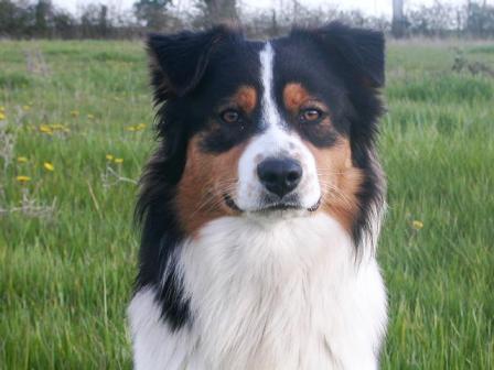 After eight des Chemins Cathares